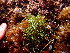  ( - GWS047238)  @11 [ ] Unspecified (default): All Rights Reserved  Unspecified Unspecified