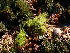  ( - GWS047245)  @11 [ ] Unspecified (default): All Rights Reserved  Unspecified Unspecified