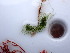  ( - GWS047404)  @11 [ ] Unspecified (default): All Rights Reserved  Unspecified Unspecified