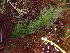  ( - GWS048321)  @11 [ ] Unspecified (default): All Rights Reserved  Unspecified Unspecified