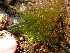  ( - GWS048806)  @11 [ ] Unspecified (default): All Rights Reserved  Unspecified Unspecified