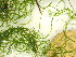  ( - GWS048915)  @11 [ ] Unspecified (default): All Rights Reserved  Unspecified Unspecified
