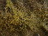  ( - GWS048955)  @11 [ ] Unspecified (default): All Rights Reserved  Unspecified Unspecified