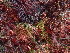  ( - GWS048959)  @11 [ ] Unspecified (default): All Rights Reserved  Unspecified Unspecified
