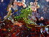  ( - GWS048967)  @11 [ ] Unspecified (default): All Rights Reserved  Unspecified Unspecified