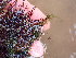  ( - GWS049127)  @11 [ ] Unspecified (default): All Rights Reserved  Unspecified Unspecified