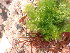  ( - GWS049183)  @11 [ ] Unspecified (default): All Rights Reserved  Unspecified Unspecified