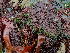  ( - GWS049296)  @11 [ ] Unspecified (default): All Rights Reserved  Unspecified Unspecified