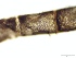 ( - GWS049612)  @11 [ ] Unspecified (default): All Rights Reserved  Unspecified Unspecified