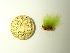  ( - GWS049953)  @11 [ ] Unspecified (default): All Rights Reserved  Unspecified Unspecified