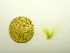  ( - GWS049955)  @11 [ ] Unspecified (default): All Rights Reserved  Unspecified Unspecified