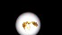  ( - UM-AACC-0183)  @11 [ ] by-nc-sa (2022) Thibaud Decaëns Universite Montpellier, CEFE Lab
