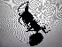  (Tapinoma darioi - UM-AACC-0225)  @11 [ ] by-nc-sa (2022) Thibaud Decaëns Universite Montpellier, CEFE Lab