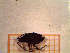  ( - UM-AAMM-0030)  @11 [ ] by-nc-sa (2021) Thibaud Decaëns Universite Montpellier, CEFE Lab