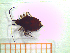  ( - UM-AALL-0043)  @11 [ ] by-nc-sa (2023) Thibaud Decaëns Universite Montpellier, CEFE Lab