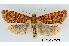  ( - UM_ACPN_00035)  @11 [ ] by-nc-sa (2023) Gérard Labonne Universite Montpellier