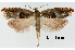  ( - UM_ACPN_00041)  @11 [ ] by-nc-sa (2023) Gérard Labonne Universite Montpellier