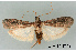  ( - UM_ACPN_00005)  @11 [ ] by-nc-sa (2023) Gérard Labonne Universite Montpellier