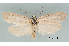  ( - UM_ACPN_00097)  @11 [ ] by-nc-sa (2023) Gérard Labonne Universite Montpellier