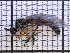  ( - UM_AAAA_00612)  @11 [ ] BY-NC-SA (2022) Maxime Rozier University of Montpellier