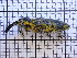  ( - UM_AAAA_00537)  @11 [ ] BY-NC-SA (2022) Maxime Rozier University of Montpellier
