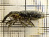  ( - UM_AAAA_00656)  @11 [ ] by-nc-sa (2023) Sebastien J. Puechmaille University of Montpellier