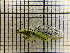  ( - UM_AAAA_00658)  @11 [ ] by-nc-sa (2023) Sebastien J. Puechmaille University of Montpellier