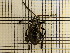  ( - UM_AAAA_00665)  @11 [ ] by-nc-sa (2023) Sebastien J. Puechmaille University of Montpellier