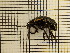  ( - UM_AAAA_00665)  @11 [ ] by-nc-sa (2023) Sebastien J. Puechmaille University of Montpellier