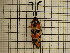  ( - UM_AAAA_00671)  @11 [ ] by-nc-sa (2023) Sebastien J. Puechmaille University of Montpellier