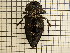  ( - UM_AAAA_00675)  @11 [ ] by-nc-sa (2023) Sebastien J. Puechmaille University of Montpellier