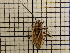  ( - UM_AAAA_00682)  @11 [ ] by-nc-sa (2023) Sebastien J. Puechmaille University of Montpellier