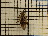  ( - UM_AAAA_00682)  @11 [ ] by-nc-sa (2023) Sebastien J. Puechmaille University of Montpellier