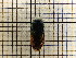  ( - UM_AAAA_00686)  @11 [ ] by-nc-sa (2023) Sebastien J. Puechmaille University of Montpellier