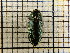  ( - UM_AAAA_00686)  @11 [ ] by-nc-sa (2023) Sebastien J. Puechmaille University of Montpellier