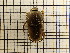  ( - UM_AAAA_00716)  @11 [ ] by-nc-sa (2023) Sebastien J. Puechmaille University of Montpellier