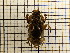  ( - UM_AAAA_00716)  @11 [ ] by-nc-sa (2023) Sebastien J. Puechmaille University of Montpellier