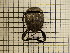  ( - UM_AAAA_00718)  @11 [ ] by-nc-sa (2023) Sebastien J. Puechmaille University of Montpellier