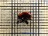  ( - UM_AAAA_00721)  @11 [ ] by-nc-sa (2023) Sebastien J. Puechmaille University of Montpellier