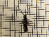  ( - UM_AAAA_00728)  @11 [ ] by-nc-sa (2023) Sebastien J. Puechmaille University of Montpellier