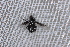  ( - UM_AAZZ_000144)  @11 [ ] by-nc-sa (2022) Timothée Gonier Universite Montpellier