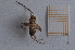  ( - UM_AAFF_00001)  @11 [ ] BY-NC-SA  Unspecified University of Montpellier