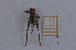  ( - UM_AAFF_00002)  @11 [ ] BY-NC-SA  Unspecified University of Montpellier