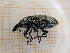  ( - UM_ABDC_00100)  @11 [ ] by-nc-sa (2022) Sophie Clauzon Universite Montpellier