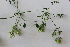  ( - UM_ABTS_00093)  @11 [ ] by-nc-sa (2022) Colliot Ilona Universite Montpellier