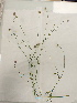  ( - UM_ACAZ_0137)  @11 [ ] by-nc-sa (2022) AurÃ©lien Caries Universite Montpellier
