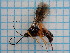  ( - UM_ACGE_0008)  @11 [ ] by-nc-sa (2022) MaÃ«l Moulin Universite Montpellier