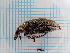  ( - UM_ACGE_0025)  @11 [ ] by-nc-sa (2022) MaÃ«l Moulin Universite Montpellier