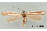  ( - UM_ACPN_00198)  @11 [ ] by-nc-sa (2023) Fabre Pierre-Henri Universite Montpellier