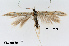  ( - UM_ACPN_00244)  @11 [ ] by-nc-sa (2023) Fabre Pierre-Henri Universite Montpellier